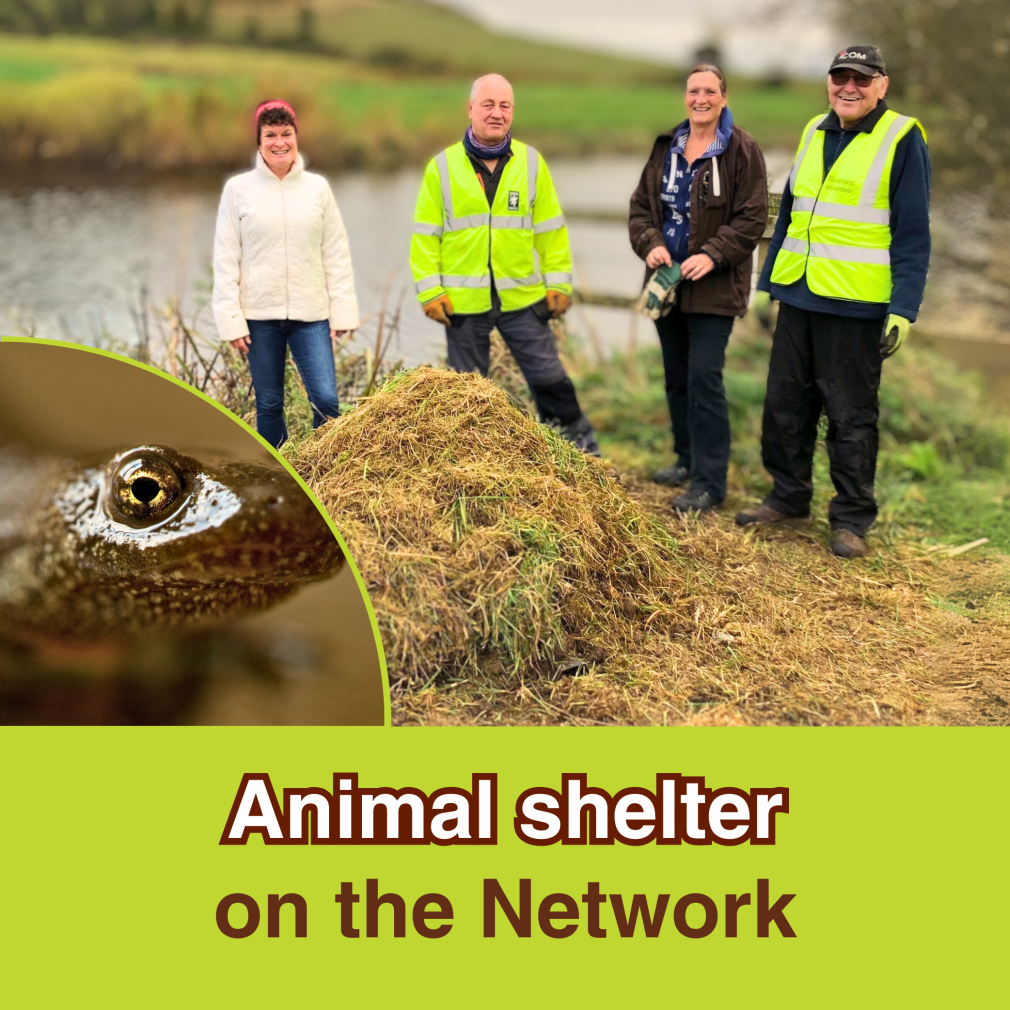 Virtual gift on an animal shelter on the National Cycle Network